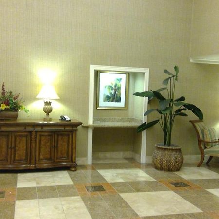Royal Palms Apartment Briarcliffe Acres Exterior foto
